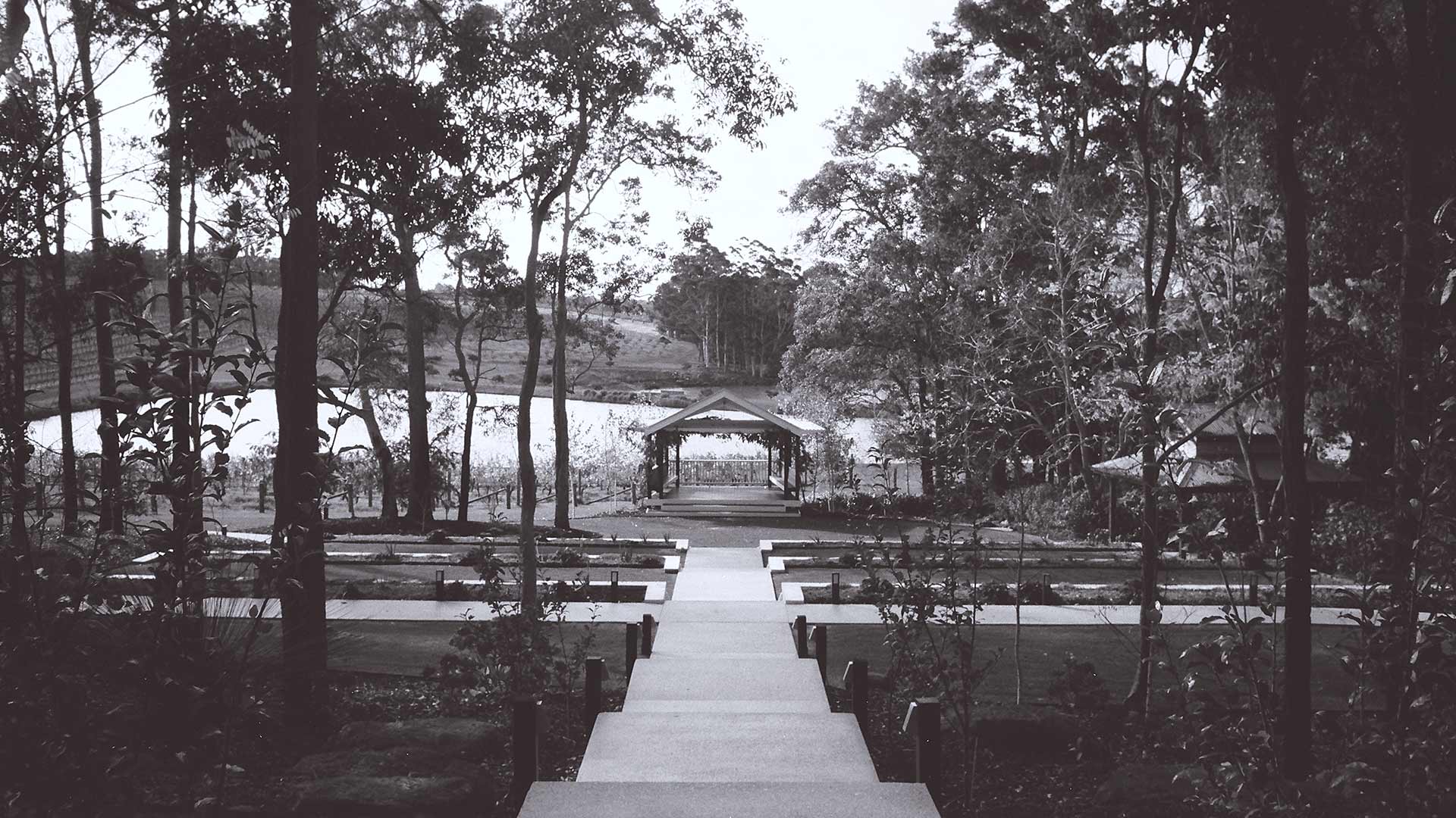 Read more about the article The nostalgic romance of film photography.