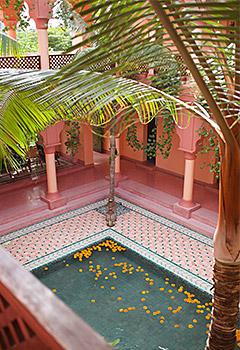 tiled pool with flowers and plants
