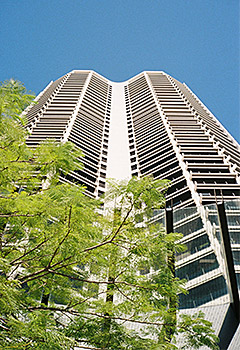 tall building with tree