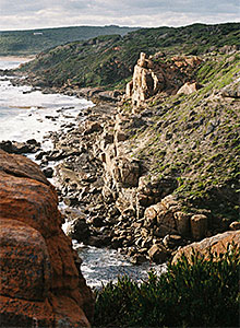 coastal cliff face with greenery