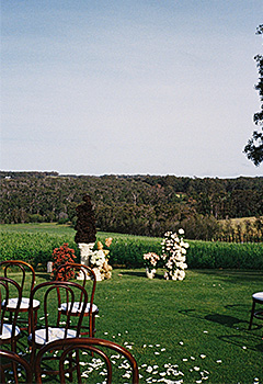 chairs and floral arbor in front of a vineyard